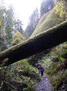 10.28.05 Devil's Rest 030 